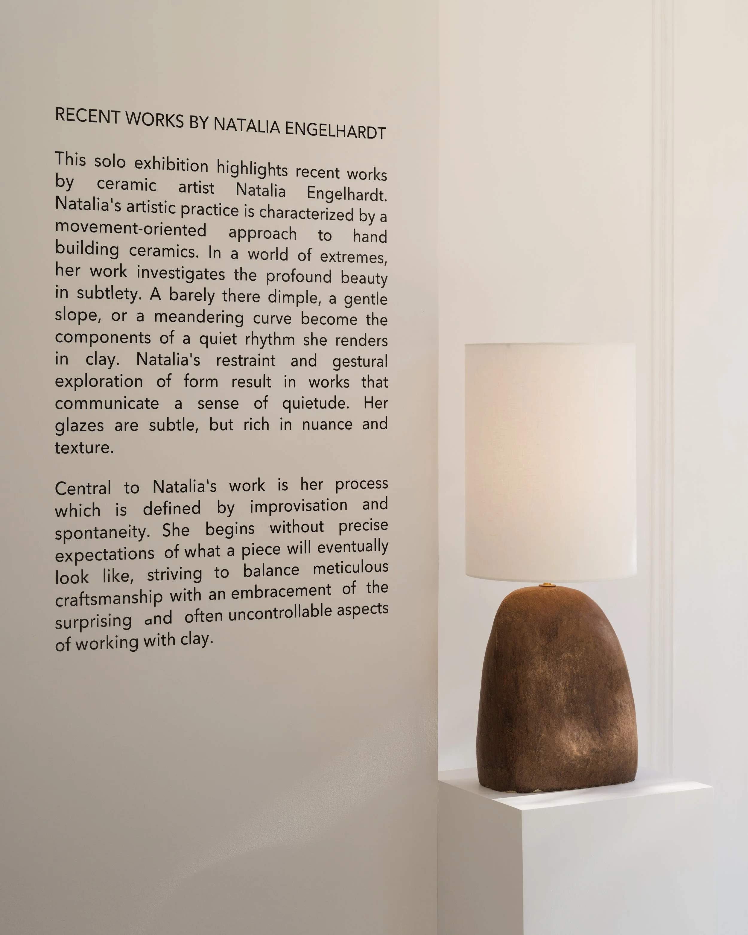 Solo show installation view 14